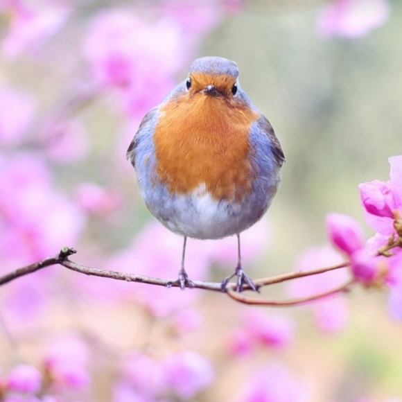 Follow Me, Like, Follow and Share. - Picture 12 of 12